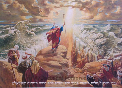 EL FIN DEL FUTURO - Ollin Islas Romo